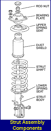 Strut Design